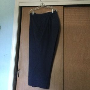 Zach and Rachel woman crop pants Size 24W In a deep blue color
